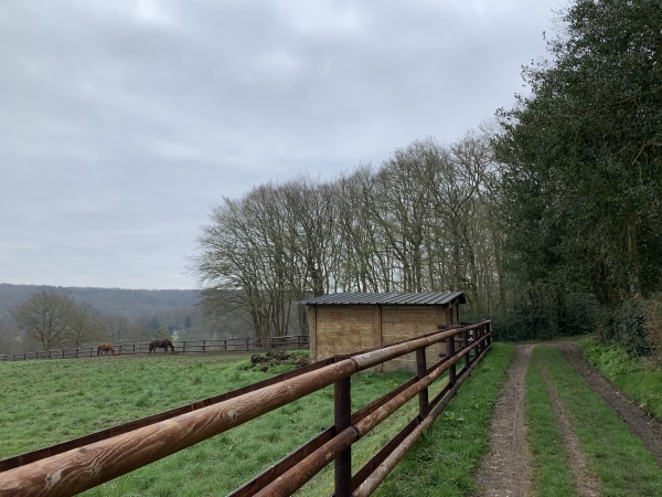 Le Mont Hamel, chemin du Champ Corneille.