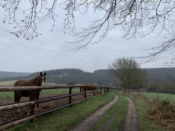 Le Mont Hamel, chemin du Champ Corneille.