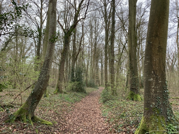 Neuf Moulin, chemin du Puits Castel.