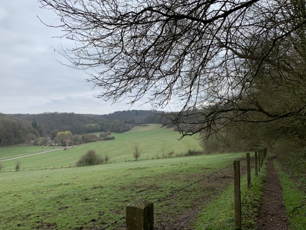 Bois de Troussebot, regard arrière sur la vallée de l'Oison. Nous étions sur la colline d'en face tout à l'heure.