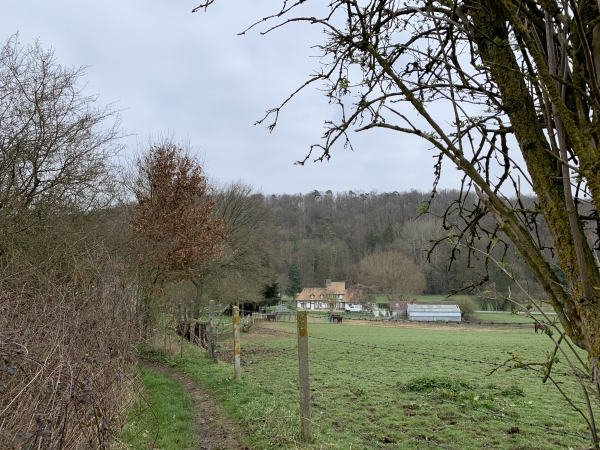 Nous arrivons à la Petite Vallée et à la route de Mandeville.