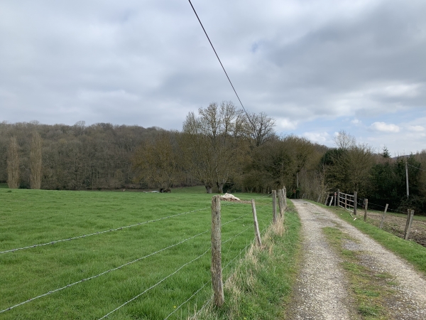 Saint-Pierre-des-Fleurs, chemin de la Procession.
