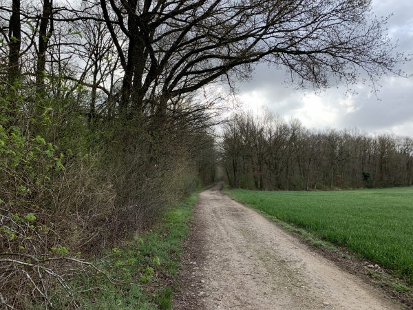 Ancienne voie romaine d'Evreux à Lisieux.