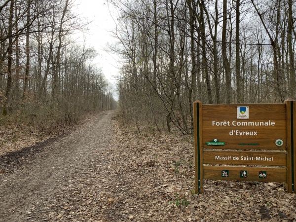 Toujours sur la voie romaine, nous entrons dans le Bois Saint-Michel pour rejoindre le GR26.
