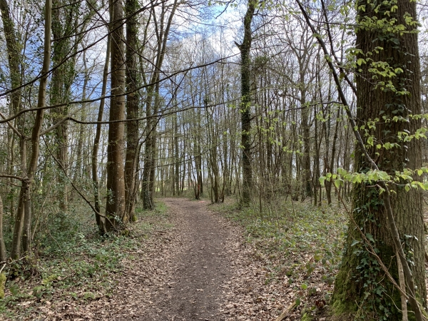 Bois Rotrou à Aviron.