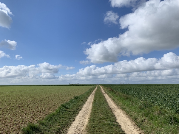 Le Mesnil, lieu-dit de Sacquenville,  chemin de la Longue Mare en direction de la Voie Verte.