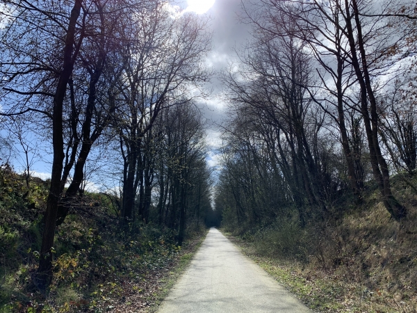 La Voie Verte, ancienne voie ferrée d'Evreux à Honfleur. Elle est aménagée en piste cyclable jusqu'au Bec-Hellouin. Cette voie verte est recouverte de goudron, dommage pour les randonneurs. La Voie Verte Claude Lemesle entre Villers-Ecalles et Pavilly est recouverte d'un sable aspect terre battue : un bonheur pour tous, cyclistes et marcheurs...