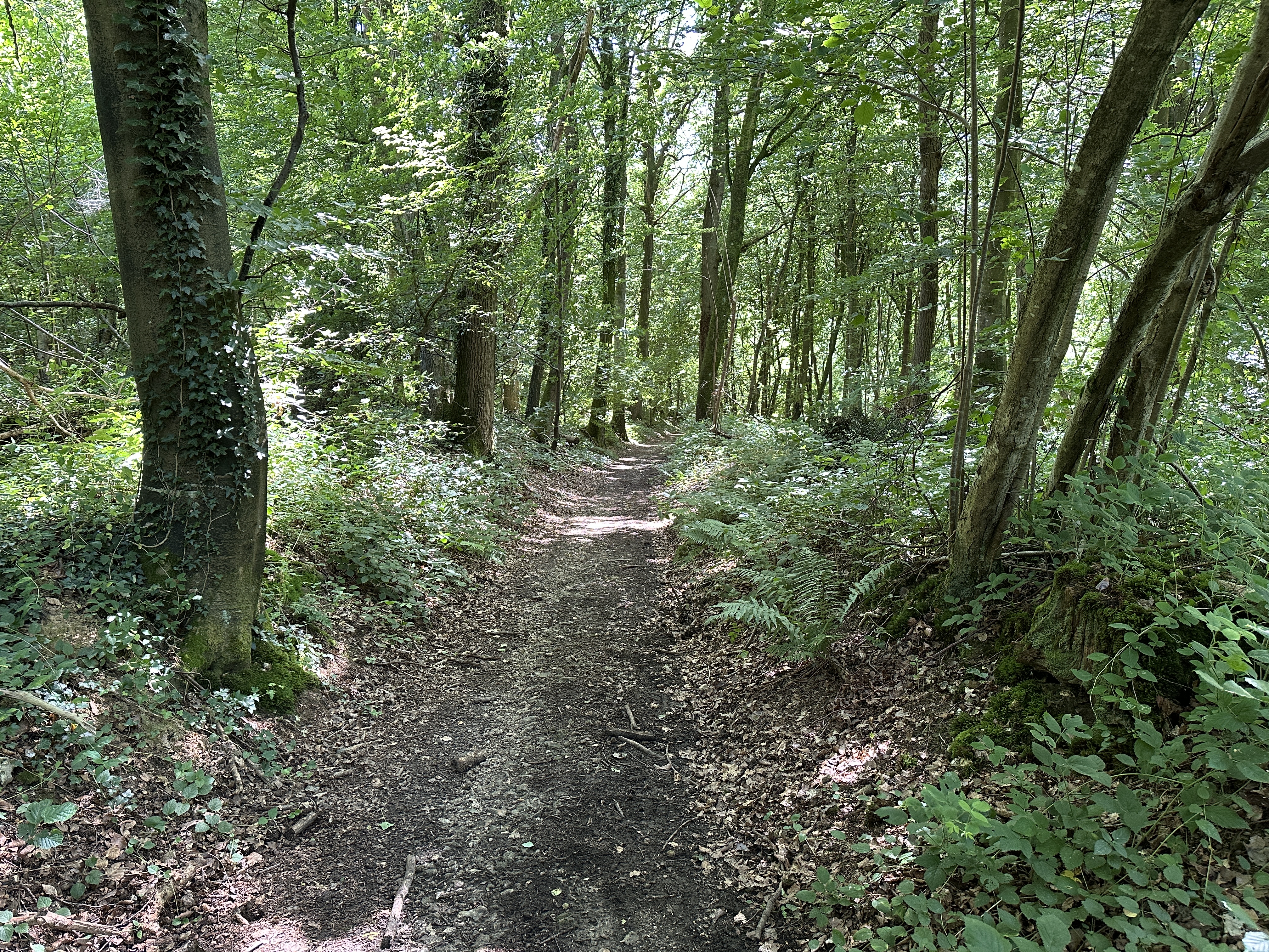 Nous traversons le bois de la Côte aux Landes et le bois de la Mare au Fresne.