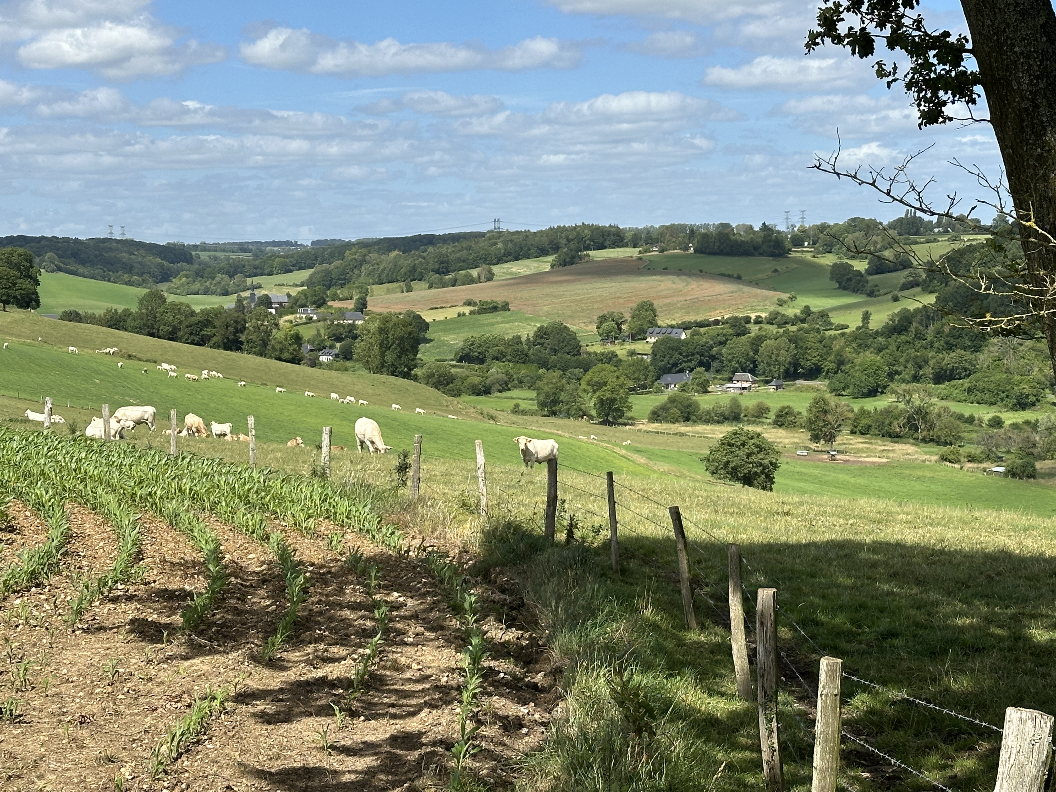 Nous marchons maintenant sur le coteau est du Héron, avec une vue plongeante sur les paysages de la vallée.