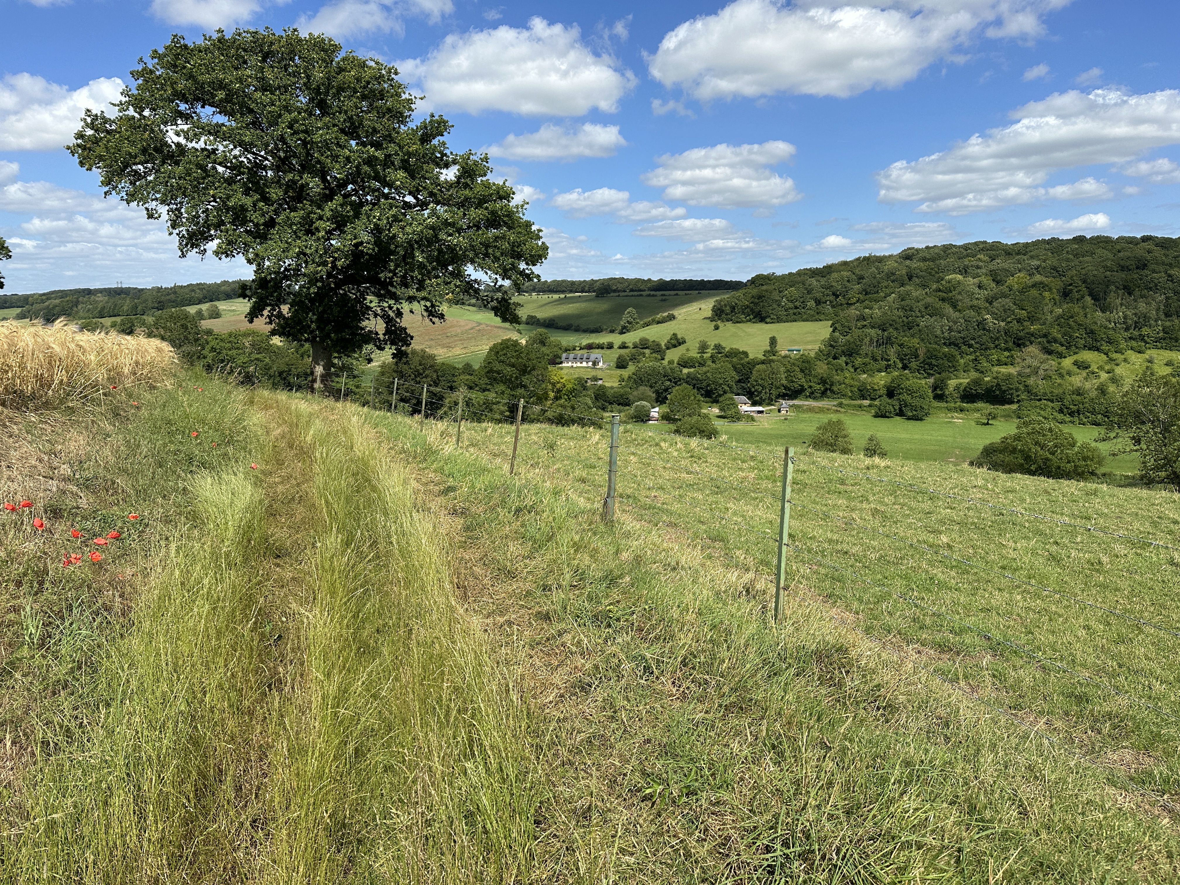 Le chemin de la Côte du Héron avance à flanc de coteau.