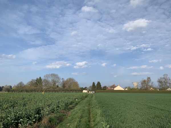 Chemin du Bout Cardais, regard arrière vers Crosville-la-Vieille.
