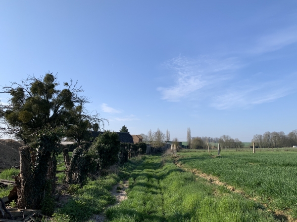 Nous n'entrons pas dans le bourg de St-Aubin-d'Ecrosville, et suivons le chemin du Bout-du-Val.