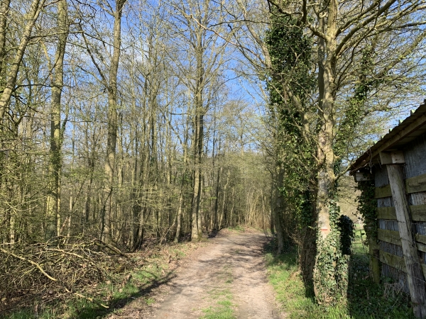 GR26, entrée dans le bois de la Pointe.