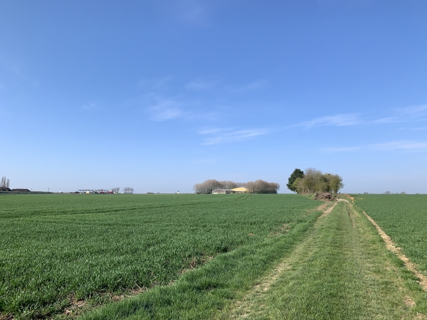 Crosville-la-Vieille, chemin de la Fosse Boudard.