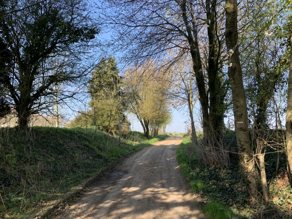 Crosville-la-Vieille, chemin de la Fosse Boudard.