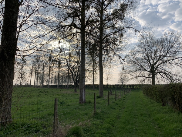 Nous sortons de La Feuillie par le chemin du Pétrimaux.