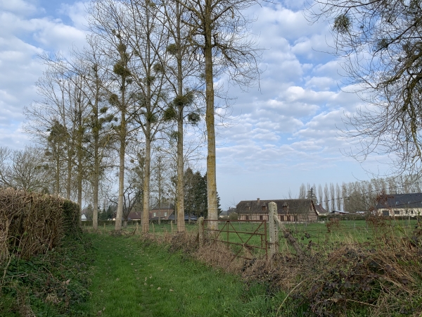 Chemin de Pétrimaux, regard arrière vers La Feuillie.