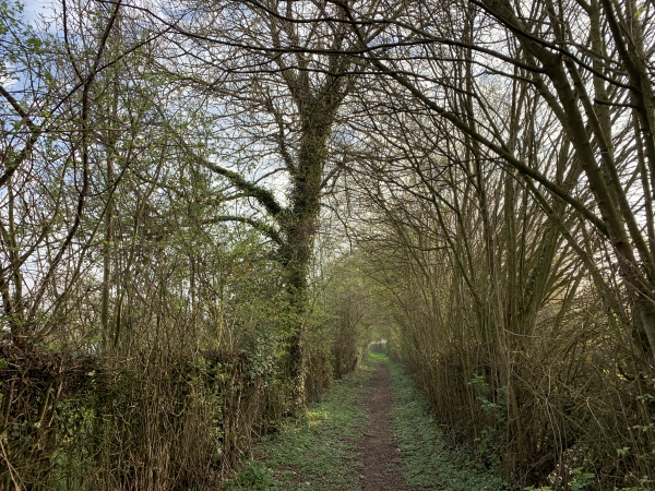 Le chemin de Pétrimaux nous conduit jusqu'au Haut Manoir. Le manoir royal, fréquemment utilisé par Philippe Le Bel, a été détruit au XVIè siècle.