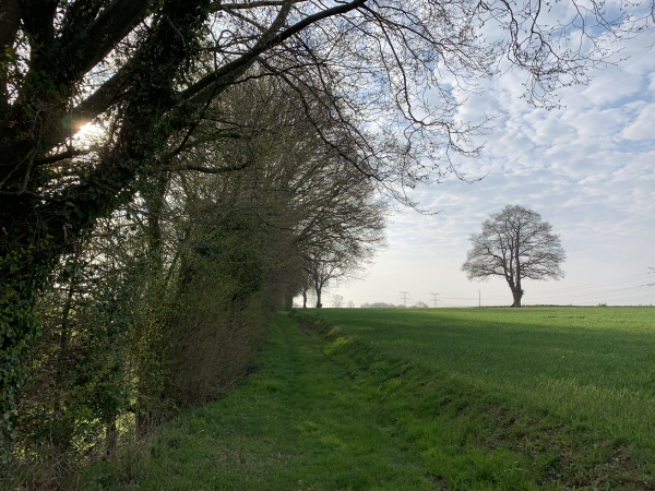 Chemin du Breuillet en direction du Pavillon.