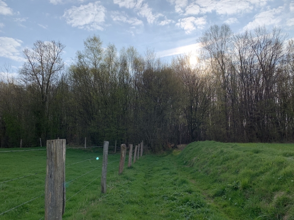 La Louveterie, entrée en forêt domaniale de Lyons. Il y avait autrefois des officiers de louveterie pour chaque grande forêt. Ils étaient chargés de la chasse aux loups. Cette administration royale a été dissoute au XVIIIè siècle.