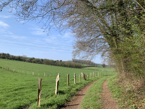 Fond de l'Ormelet au pied de la colline des Mazis.