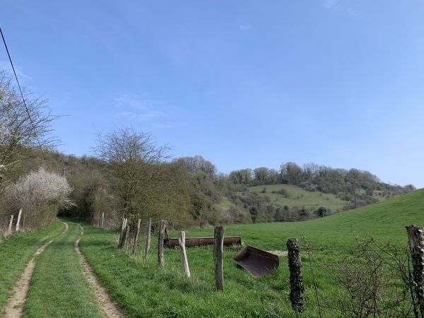 Montée vers la colline des Mazis, regard arrière sur le Fond de l'Ormelet.
