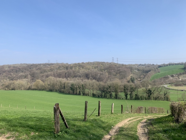Chemin de La Planche, regard arrière sur le Fond de l'Ormelet et sur le bois de La Garenne.