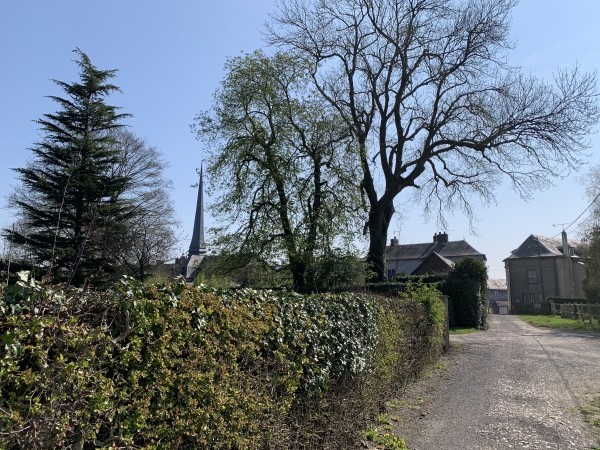 Sentier de La Poste, on distingue le fameux clocher de 54 mètres de l'église Saint-Eustache de La Feuillie.