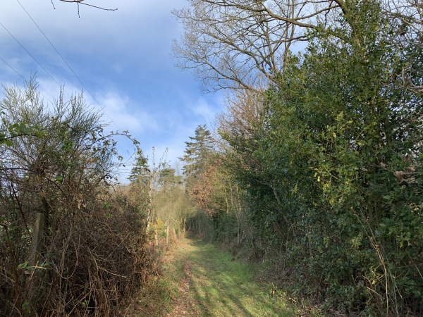 Peu après notre départ du bourg de Fontaine-la-Soret, nous entrons sur le chemin qui longe le haras de Bois-Hubert.