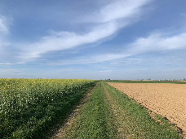 Nous allons quitter ce chemin de la Petite Croix avant Carsix.