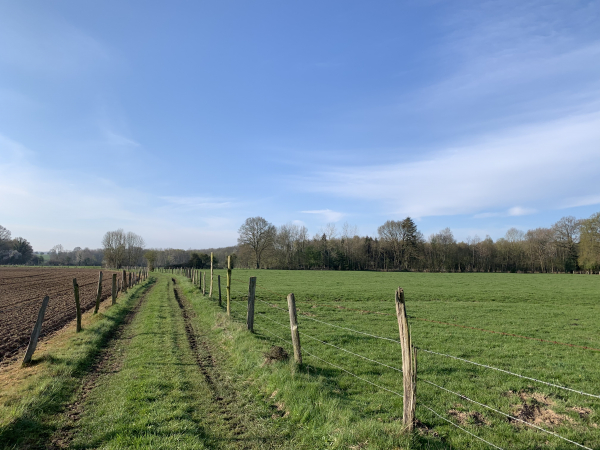 Nous distinguons les petits bois des Nouëttes et des Bruchettes que nous allons traverser.
