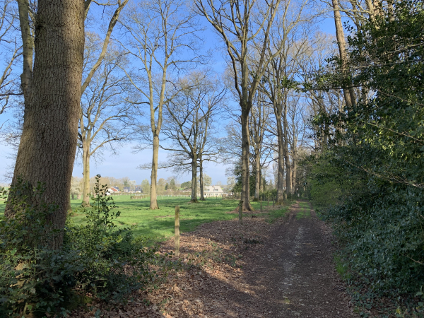 Sortie du bois de Maubuisson par le chemin Gattier.