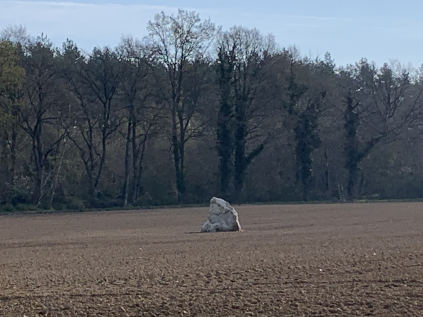 Le Menhir du Croc est un bloc de grès plat de 2,2 mètres de hauteur, vestige de la tribu celte des Véliocasses semble-t-il.