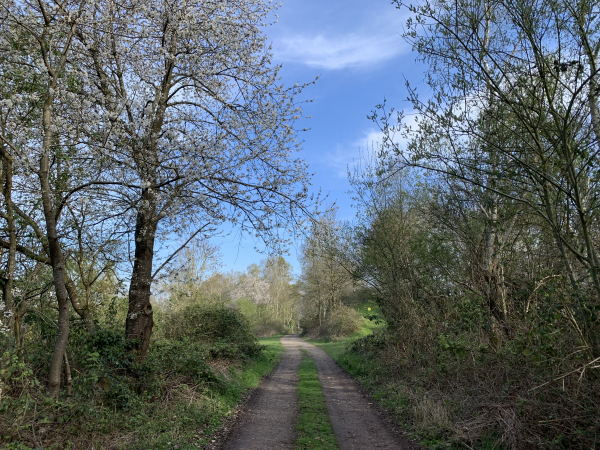 Bois de Loquerais sur le GR26.