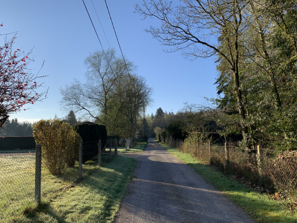 Saint-Léger-de-Rôtes, chemin de l'Arbre Robinson.