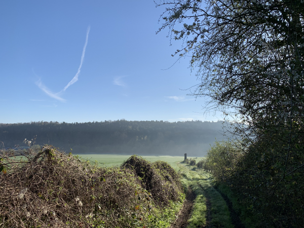 Nous traversons la Vallée de Saint-Léger, d'est en ouest, en direction du bois de Courcelles.
