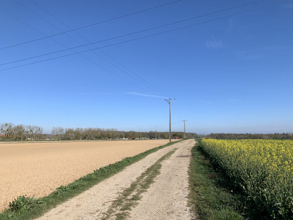 Nous venons de quitter le GR26. Ce GR, sur les portions que nous connaissons, offre des chemins d'une grande variété et bien entretenus. Nous sommes maintenant au lieu-dit les Champs-Boeufs, et nous marchons vers le nord en direction de la Volardière.