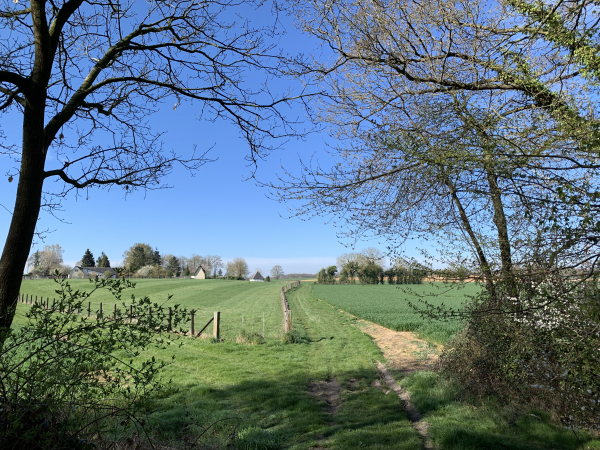 Sortie du bois au niveau de la Cogissière.