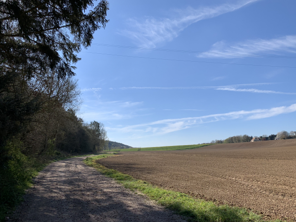 Vallée de Saint-Léger. Nous marchons en lisière du bois de Plasnes en direction de Saint-Léger-de-Rôtes.