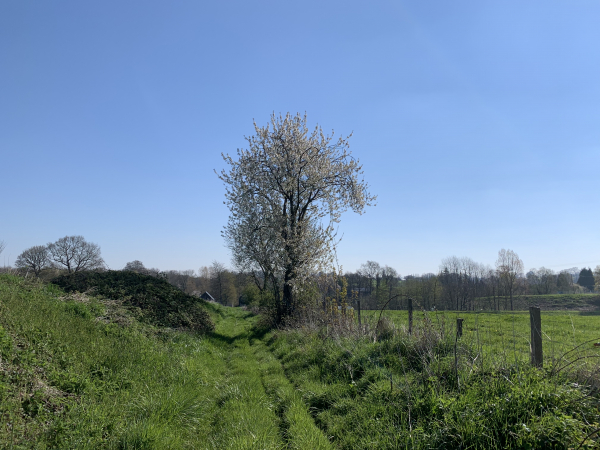 Chemin en direction de la rue du Temple.