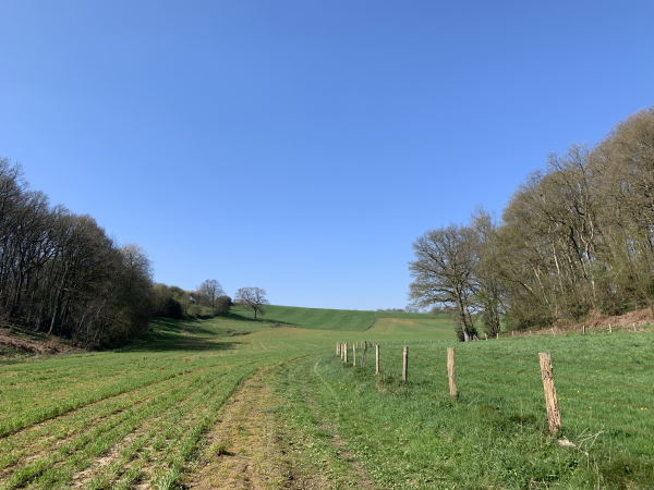 St-Jean-de-la-Neuville, chemin Sous le Hameau de Maillard.