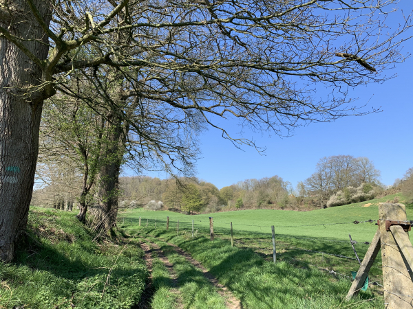 St-Jean-de-la-Neuville, chemin des Fonds de St-Jean.