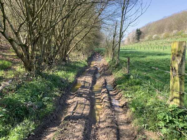 St-Jean-de-la-Neuville, chemin des Fonds de St-Jean. Malgré les apparences sur la photo, il est impossible d'éviter ce passage boueux dans lequel on s'enfonce profondément. Heureusement c'est un passage d'une dizaine de mètres, pas plus.
