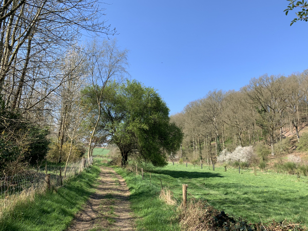 Mis à part le court passage boueux, le chemin des Fonds de Saint Jean offre des paysages vraiment agréables.