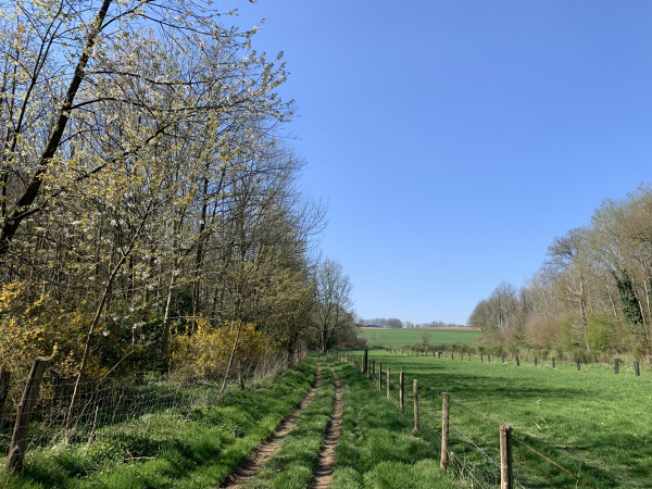 Chemin des Fonds de Saint Jean.