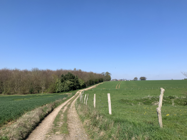 Direction St-Gilles-de-la-Neuville, chemin de la Caroline.