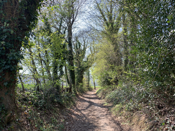 Gommerville, chemin de l'abattoir.