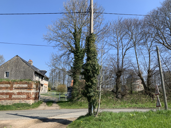 Gommerville, la Petite Ferme de Rame est en fait un ancien manoir, avec son colombier.