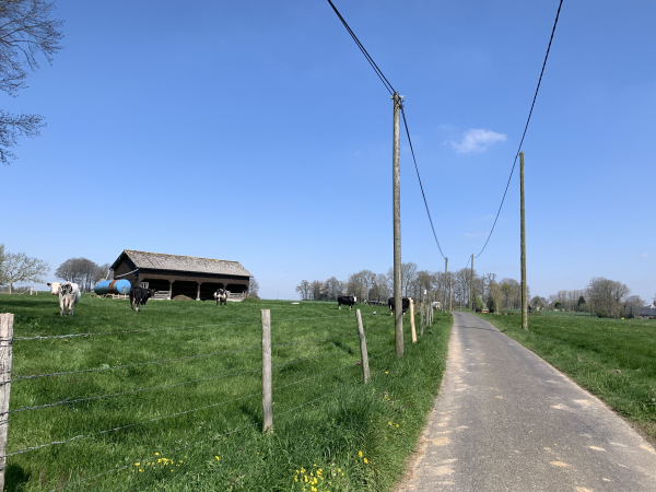 Nous sommes sur le territoire de St-Romain-de-Colbosc, sur le chemin des Damettes.