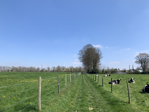 Les Trois-Pierres, chemin de la Broche à Rotir.